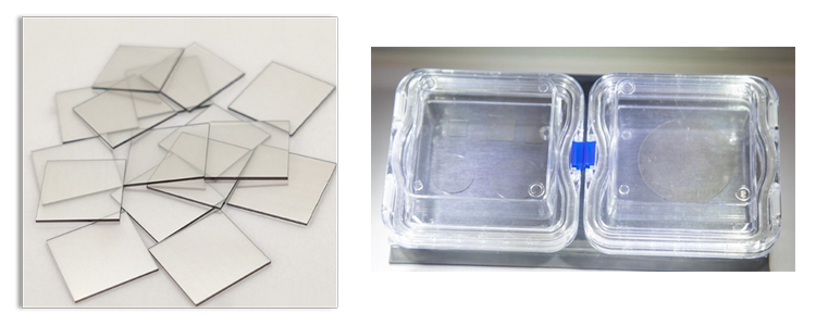 CVD Diamond